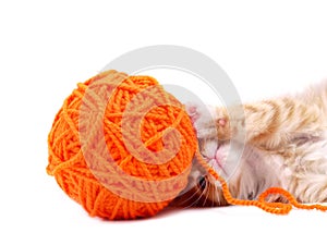 Kitten playing with ball of wool