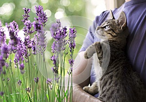 Kitten playing with insects on flowers