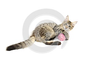 Kitten playing with pink wool ball