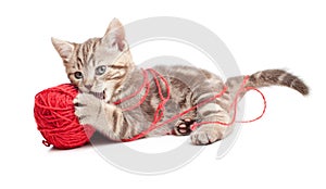 Kitten playing red clew or ball