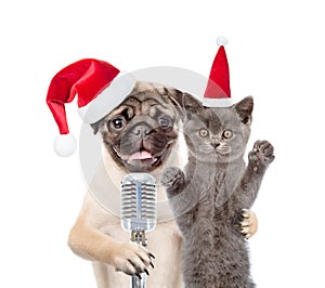 Kitten and puppy in christmas hats singing with microphone a karaoke song. isolated on white background