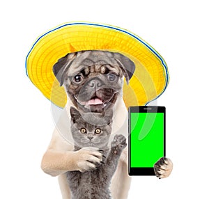 Kitten and puppy in a hat with smartphone. Isolated on white background