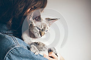 Woman is holding in hands and hugging color point color Devon rex cat.