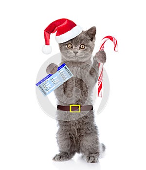 Kitten in red christmas hat holding airline ticket and candy cane. isolated on white background