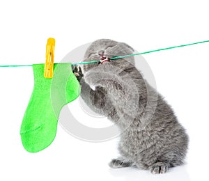 Kitten removes dried after washing underwear with rope.