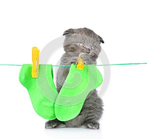 Kitten removes dried after washing underwear with rope. isolated on white