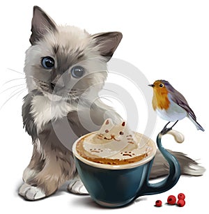 Kitten, Robin bird and Cup of cappuccino