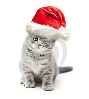 Kitten in Santa Claus xmas red hat