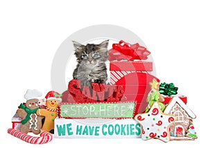 Kitten with Santa Stop Here We Have Cookies sign