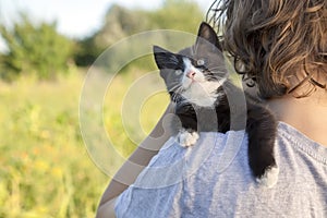 Kitten on the shoulder