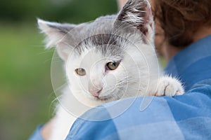 Kitten on the shoulder of the boy outdoors