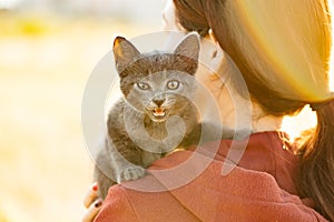 Kitten sits on a woman's shoulder looking at the camera.