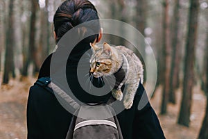 Kitten sitting on shoulder of woman in the forest.