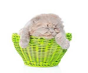Kitten sleep in green basket. isolated on white background