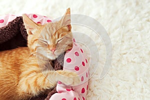 Kitten sleeping in the bed