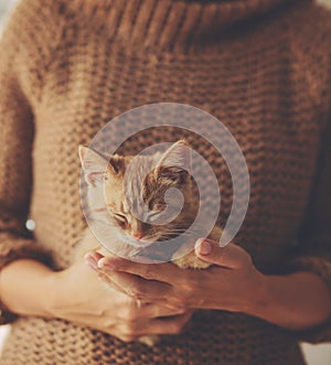 Kitten sleeping on hands