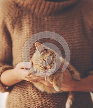 Kitten sleeping on hands