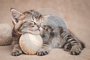 Kitten sleeps resting its head on a ball of yarn