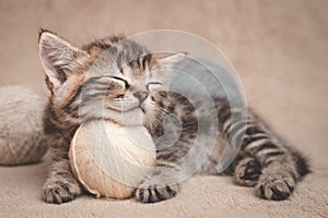 Kitten sleeps resting its head on a ball of yarn photo