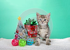 Kitten standing next to tiny Christmas tree