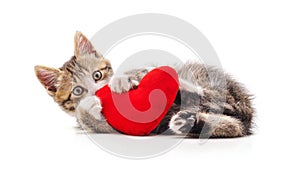 Kitten with toy heart