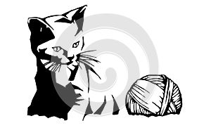 Kitten and Yarn Illustration