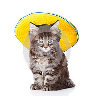 Kitten in yellow straw hat. isolated on white background