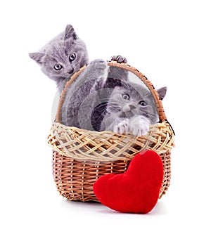 Kittens in the basket with a toy heart