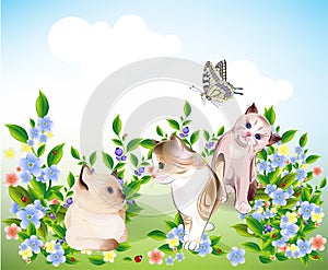 Kittens and butterfly