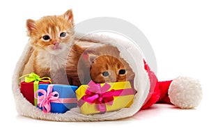 Kittens with Christmas gifts