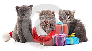 Kittens in Christmas hat.