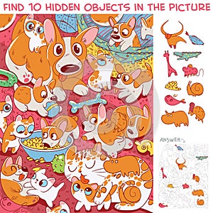 Kittens and puppies having fun together. Find 10 hidden objects