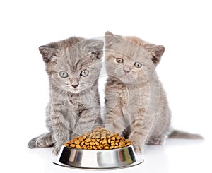 Kittens sitting with a bowl of dry cat food. isolated on white background