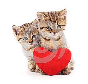 Kittens with toy heart.