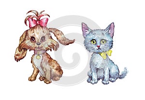 Kitty and doggy isolated hand painted watercolor illustration