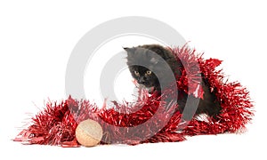 Kitty play with Christmas decorations