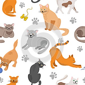 Kitty seamless pattern. Different cat breeds flat illustration. Color cute cats background, colorful kittens texture for