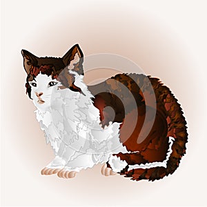 Kitty sitting vector