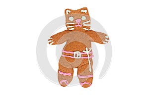 Kitty Softpaws gingerbread cookie