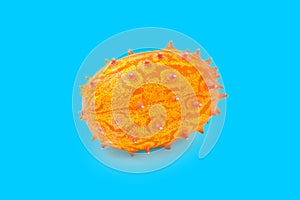 Kiwano or African horned melon isolated on blue background. Hedge pumpkin, English tomato