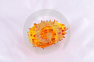 Kiwano (Cucumis metuliferus)