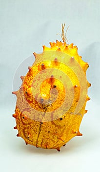 Kiwano & x28;Cucumis metuliferus& x29;