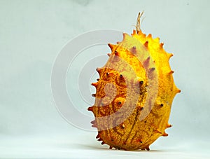 Kiwano & x28;Cucumis metuliferus& x29;