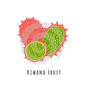 Kiwano fruit flat vector illustration