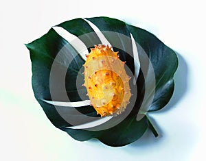 A kiwano fruit on a tropical leaf