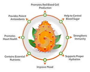 Kiwano melon benefits diagram