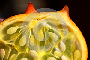 Kiwano melon Cucumis metuliferus, close up