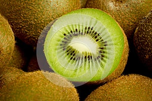 Kiwi photo