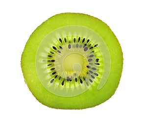 Kiwi