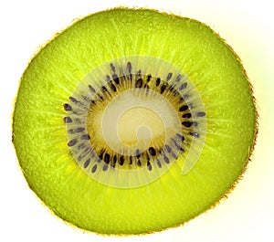 Kiwi